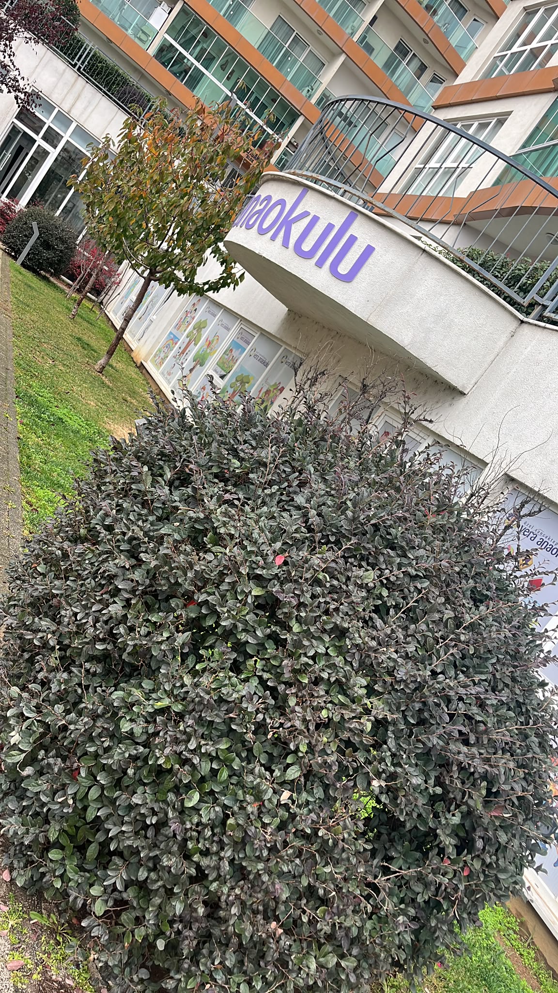 Cumhuriyet Bayramı Kutlaması